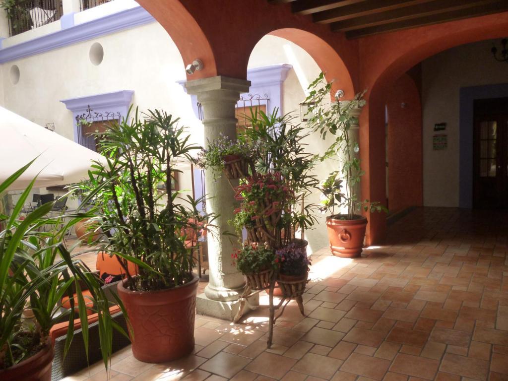 Hotel Trébol Oaxaca Habitación foto